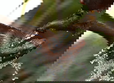 体育商业联盟管理