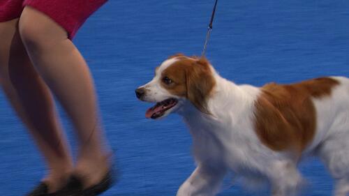 运动会策划与执行